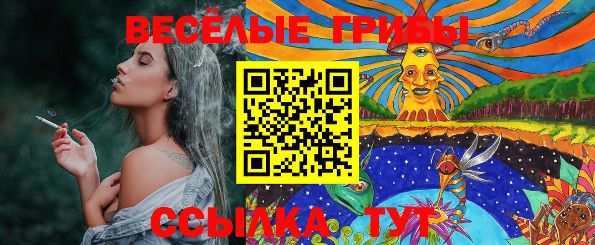 Галлюциногенные грибы Psilocybe  Псилоцибиновые грибы мицелий  Вход с VPN  Пушкино 